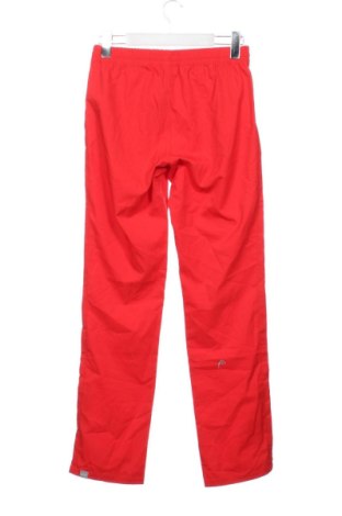 Kinder Sporthose Head, Größe 12-13y/ 158-164 cm, Farbe Rot, Preis € 27,99