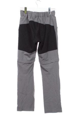 Dziecięce spodnie sportowe ROCKTRAIL, Rozmiar 13-14y/ 164-168 cm, Kolor Szary, Cena 67,99 zł
