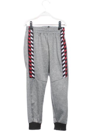 Pantaloni de trening, pentru copii Unbranded, Mărime 4-5y/ 110-116 cm, Culoare Gri, Preț 79,99 Lei