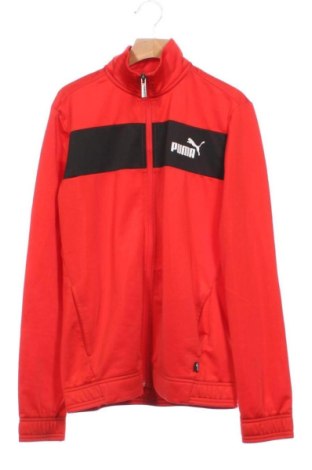 Παιδικό αθλητικό πάνω φόρμα PUMA, Μέγεθος 12-13y/ 158-164 εκ., Χρώμα Πολύχρωμο, Τιμή 20,99 €