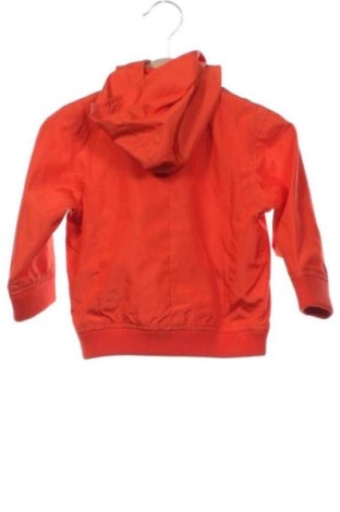 Detská bunda  DKNY, Veľkosť 9-12m/ 74-80 cm, Farba Oranžová, Cena  50,00 €