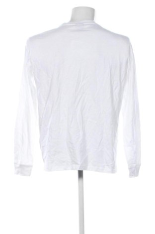 Ανδρική μπλούζα Champion, Μέγεθος L, Χρώμα Λευκό, Τιμή 16,99 €