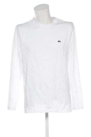 Herren Shirt Lacoste, Größe XL, Farbe Weiß, Preis € 88,99