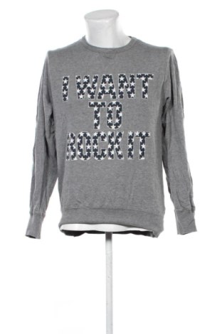 Ανδρική μπλούζα Terranova, Μέγεθος L, Χρώμα Γκρί, Τιμή 11,99 €