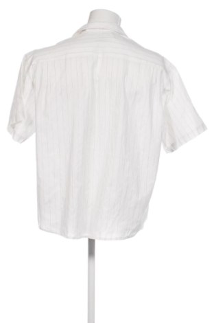 Męska koszula ALEX, Rozmiar XL, Kolor Kolorowy, Cena 79,15 zł