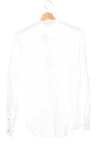 Herrenhemd Bershka, Größe S, Farbe Weiß, Preis € 24,00