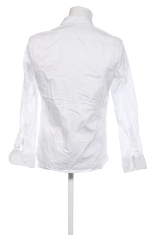 Męska koszula Dan John, Rozmiar M, Kolor Biały, Cena 78,99 zł