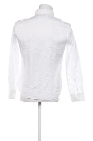 Męska koszula Exibit, Rozmiar L, Kolor Biały, Cena 148,99 zł