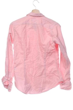 Damenbluse Ralph Lauren, Größe S, Farbe Rosa, Preis 53,00 €