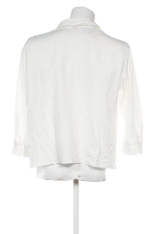 Pánska košeľa  Shine, Veľkosť XL, Farba Biela, Cena  17,95 €