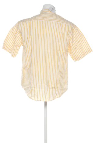 Herrenhemd Unbranded, Größe L, Farbe Mehrfarbig, Preis € 19,99