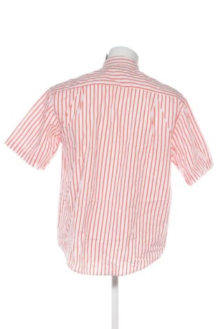 Herrenhemd Unbranded, Größe L, Farbe Mehrfarbig, Preis 19,99 €