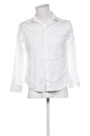 Męska koszula Zara, Rozmiar L, Kolor Biały, Cena 93,54 zł