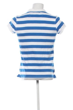 Tricou de bărbați Albatros, Mărime L, Culoare Multicolor, Preț 145,99 Lei