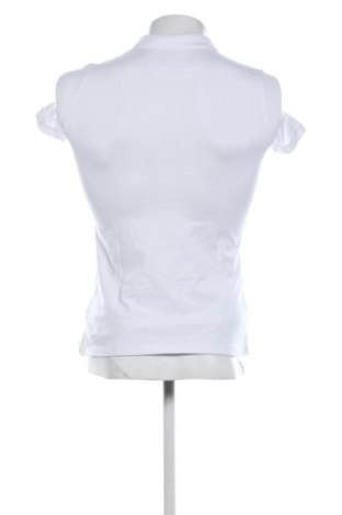 Męski T-shirt Montego, Rozmiar S, Kolor Biały, Cena 46,99 zł