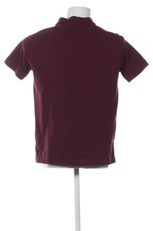 Férfi póló Pierre Cardin, Méret M, Szín Lila, Ár 9 479 Ft