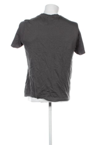 Męski T-shirt Rainbow, Rozmiar M, Kolor Szary, Cena 51,99 zł