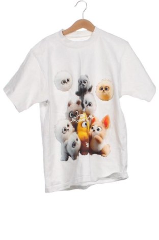 Ανδρικό t-shirt Unbranded, Μέγεθος M, Χρώμα Πολύχρωμο, Τιμή 15,51 €