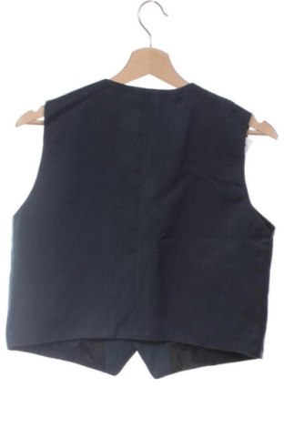 Pánska vesta  Unbranded, Veľkosť L, Farba Modrá, Cena  14,77 €