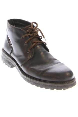 Pánske topánky Igi&Co, Veľkosť 43, Farba Hnedá, Cena  91,00 €