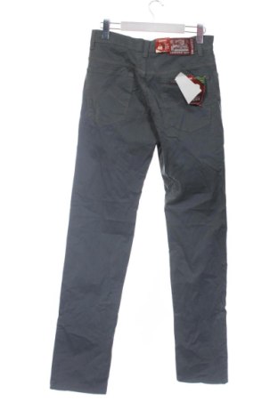 Herrenhose Carrera Jeans, Größe S, Farbe Grau, Preis € 41,99