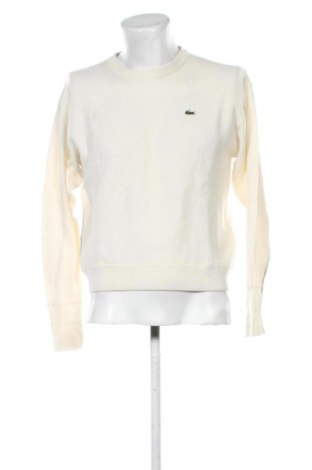 Ανδρικό πουλόβερ Lacoste, Μέγεθος XL, Χρώμα  Μπέζ, Τιμή 137,99 €