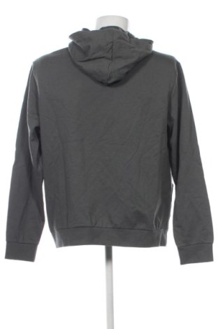 Męska bluza Kangaroos, Rozmiar XL, Kolor Zielony, Cena 200,99 zł