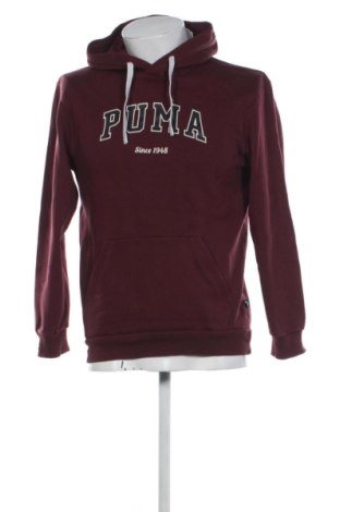 Pánska mikina  PUMA, Veľkosť S, Farba Viacfarebná, Cena  30,95 €