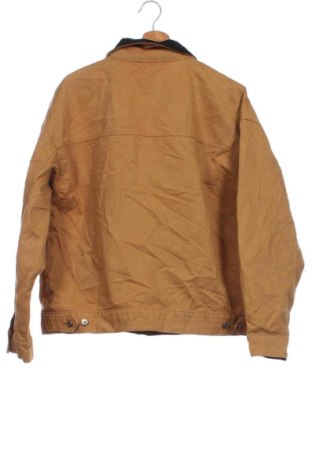 Pánska bunda  Cotton On, Veľkosť XS, Farba Béžová, Cena  29,95 €