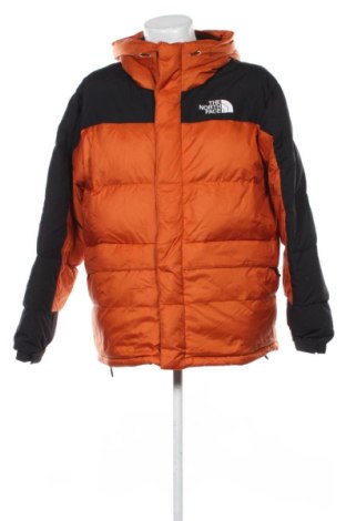 Herrenjacke The North Face, Größe XL, Farbe Mehrfarbig, Preis € 249,99