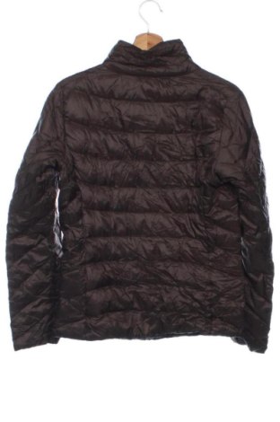 Pánska bunda  Uniqlo, Veľkosť L, Farba Hnedá, Cena  49,95 €