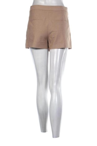 Παντελονόφουστα Zara, Μέγεθος S, Χρώμα Καφέ, Τιμή 10,00 €