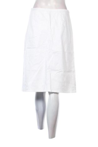 Spódnica Alba Moda, Rozmiar M, Kolor Kolorowy, Cena 302,19 zł