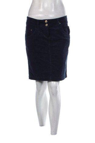 Rock Patrizia Pepe, Größe L, Farbe Blau, Preis 62,92 €