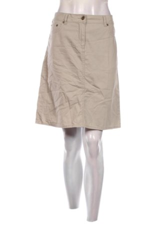 Φούστα Project, Μέγεθος L, Χρώμα Γκρί, Τιμή 4,99 €