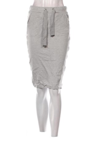 Φούστα Reserved, Μέγεθος S, Χρώμα Γκρί, Τιμή 6,99 €