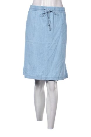 Fustă Talbots, Mărime 3XL, Culoare Albastru, Preț 52,13 Lei