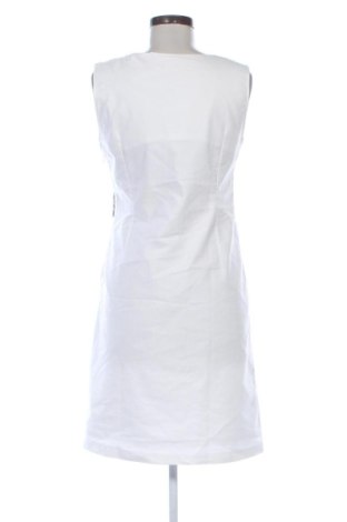 Рокля Armand Thiery, Размер M, Цвят Многоцветен, Цена 25,05 €