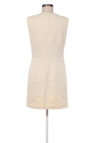 Kleid Cristina Gavioli, Größe L, Farbe Beige, Preis 42,01 €
