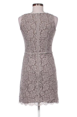 Kleid Esprit, Größe XS, Farbe Mehrfarbig, Preis € 24,54