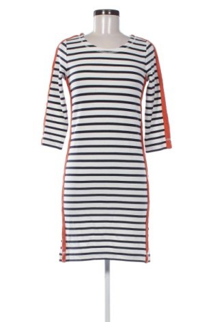 Kleid Expresso, Größe XS, Farbe Mehrfarbig, Preis 54,99 €