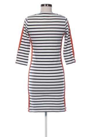 Kleid Expresso, Größe XS, Farbe Mehrfarbig, Preis 54,99 €