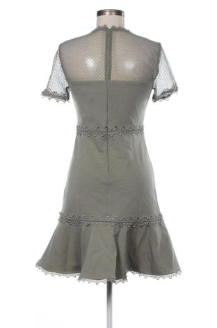 Kleid Forever New, Größe S, Farbe Grün, Preis 54,99 €