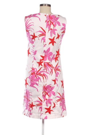 Kleid Gil Bret, Größe XL, Farbe Mehrfarbig, Preis 42,00 €