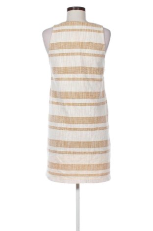 Kleid Mango, Größe M, Farbe Mehrfarbig, Preis € 22,99