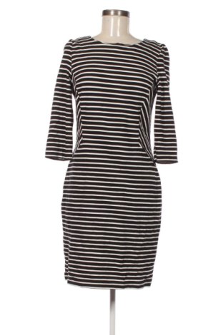 Φόρεμα Montego, Μέγεθος M, Χρώμα Πολύχρωμο, Τιμή 23,99 €