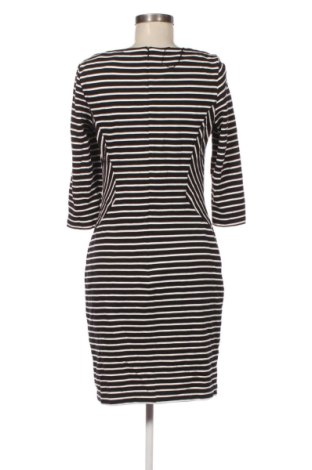 Φόρεμα Montego, Μέγεθος M, Χρώμα Πολύχρωμο, Τιμή 23,99 €