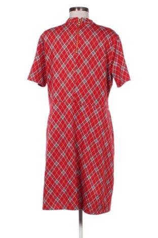 Šaty  Next, Veľkosť XL, Farba Viacfarebná, Cena  24,45 €