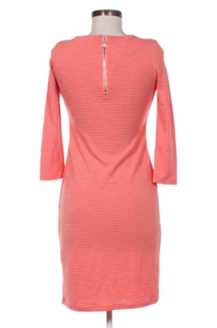 Kleid Noppies, Größe XS, Farbe Mehrfarbig, Preis € 25,00