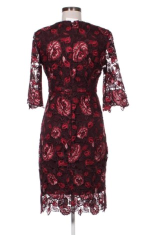 Kleid Phase Eight, Größe L, Farbe Mehrfarbig, Preis € 41,99